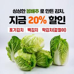 [한가원[20%SALE]봄배추로 담근 김치 (포기김치,백김치,맛김치)