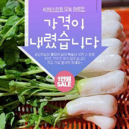 [깜짝특가][2025년][양달농장]절임알타리무 10kg