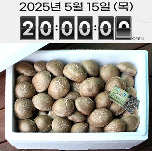 [20주년기념 반값] 유기농 생 표고버섯 2KG (중품)