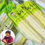 [청천장터]2024삶은 대학찰옥수수 15개입
