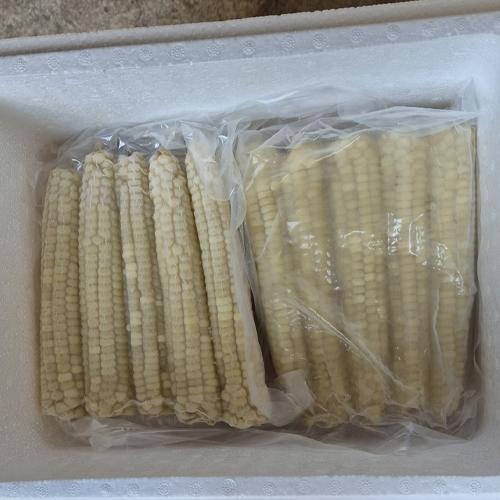 [신토불이농장] 2024년 괴산대학찰옥수수(냉동)