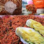 [2025예약][한가원] 김장 양념 (4kg / 8kg)