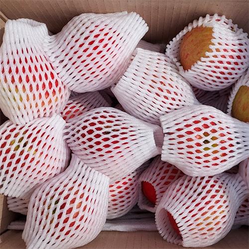 [주말특가][스피노자농원] 흠과/점박이 사과 10kg _1