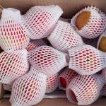 [주말특가][스피노자농원] 흠과/점박이 사과 10kg _1