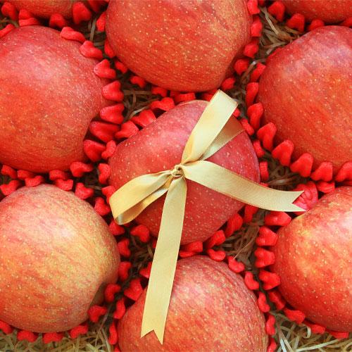 [황금농장] 아삭아삭 꿀맛 햇부사 선물용(5kg/10kg)