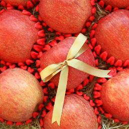 [황금농장] 아삭아삭 꿀맛 햇부사 선물용(5kg/10kg)