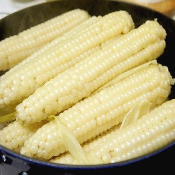 [예약_8월20일전후 수확]햇 괴산대학찰옥수수/생물10/20개
