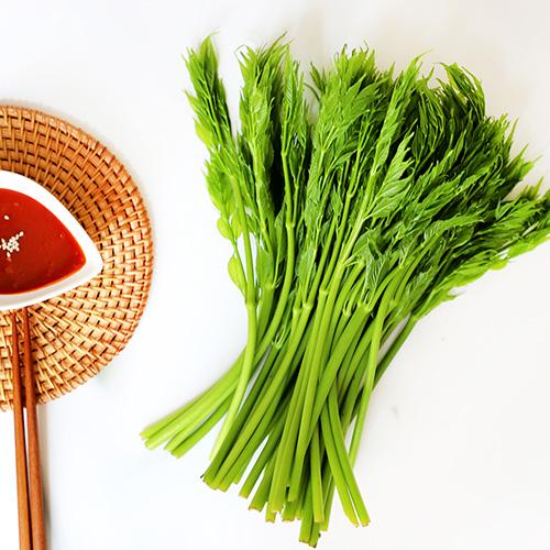[유기농표고맘] 괴산 카멜레온 두릅 (1kg)