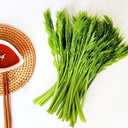 [유기농표고맘] 괴산 카멜레온 두릅 (1kg)