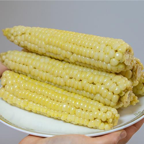 괴산장터 상품입니다