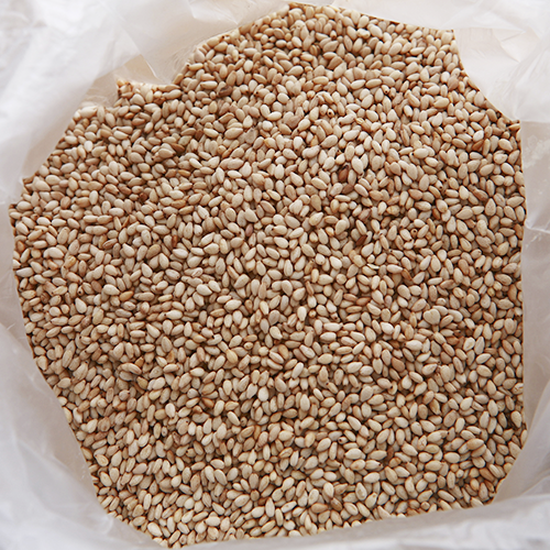 [밤나무골]2025 햇 참깨 (3KG/6KG)