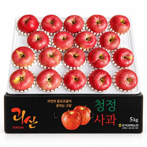 [15시단특가][스피노자농원] 맛있는 홍로사과 5KG