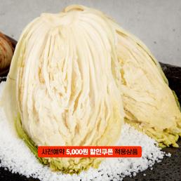 [2025사전예약][청파농원] 시골절임배추 (20KG)