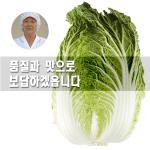 [2025사전예약][10월20일 출고시작][농사꾼과아지매]고소하고 맛있는 10kg 괴산절임배추