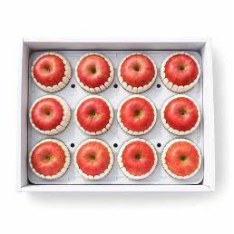 [2026명절쿠폰상품][가을농원] 껍질채먹는사과 선물용 5kg (부사 특과 / 13-14과)