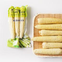 [가시버시농원]못난이 찐 대학찰옥수수 (30개입)