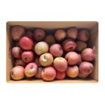 [가래울농장] 가정용 한입사과 10kg(품종: 부사)_1