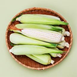 [2026사전예약] 청안팜의 괴산대학찰옥수수 (30개)