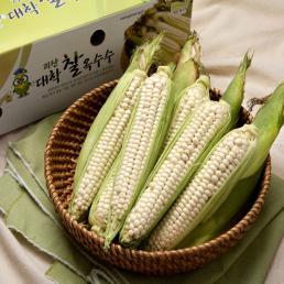 [2026사전예약]청파농원의 괴산대학찰옥수수