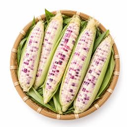 [밤나무골농원]괴산 가을옥수수 얼룩이찰옥수수 (30개입/생물)