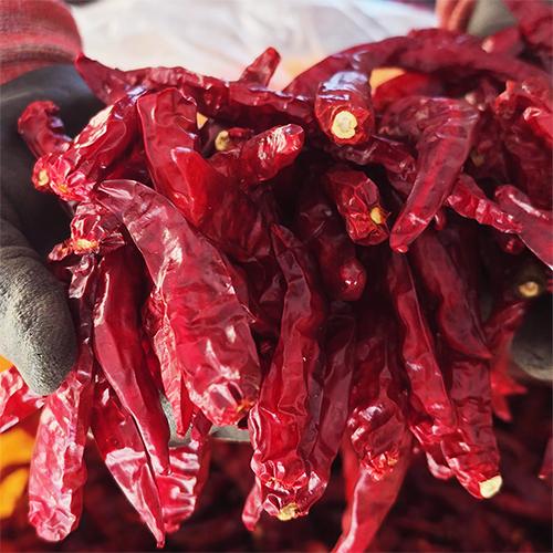 [2026햇고추]괴산울엄마농장의 괴산청결건고추 (3-6kg)_1