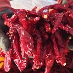 [2026햇고추]괴산울엄마농장의 괴산청결건고추 (3-6kg)_1