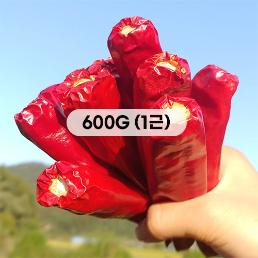 [2026햇고추] 괴산젊은의 고추맛집 햇 건고추 (600g)