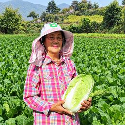 [농사꾼과아지매] 2026 고소하고 맛난 괴산절임배추 (10-20kg)