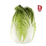  [농사꾼과아지매] 2026 고소하고 맛난 괴산절임배추 (20kg)