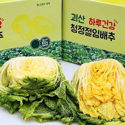 [2026사전예약] 하루건강의 청정절임배추 (10kg)