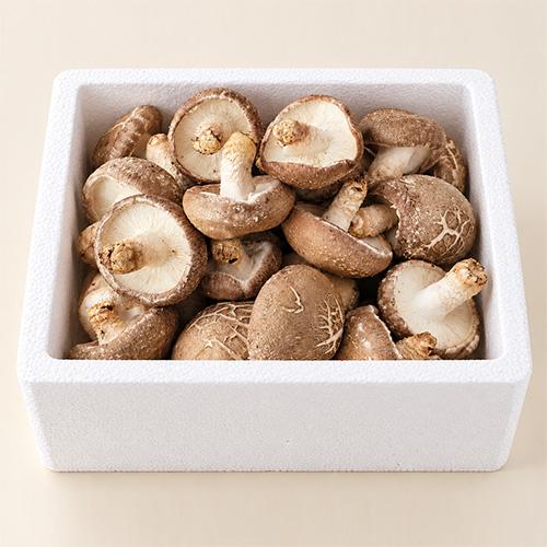 [뜰안표고농원] 가정용 생표고버섯 (1kg/3kg)