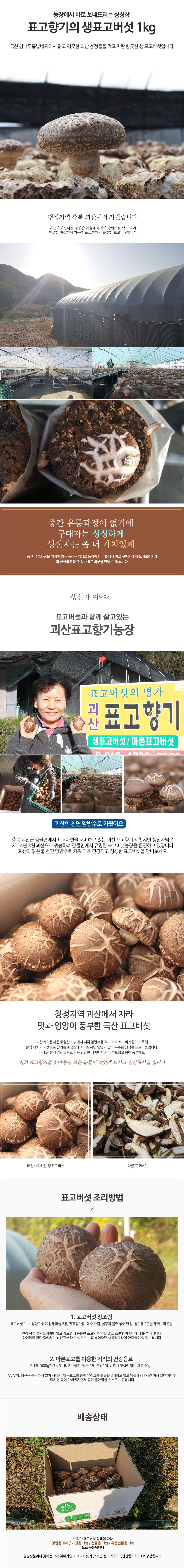 editor이미지